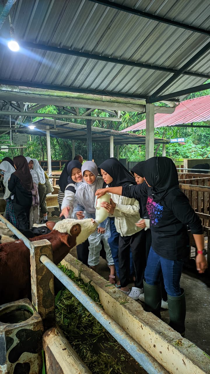 Rembulan Merapi Farm